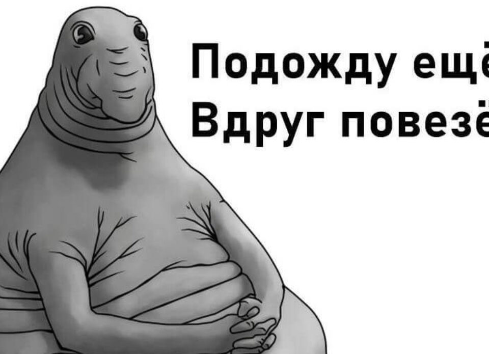 Быть членом РСТО сверхвыгодно: почему агентству не надо ждать, а надо вступать!