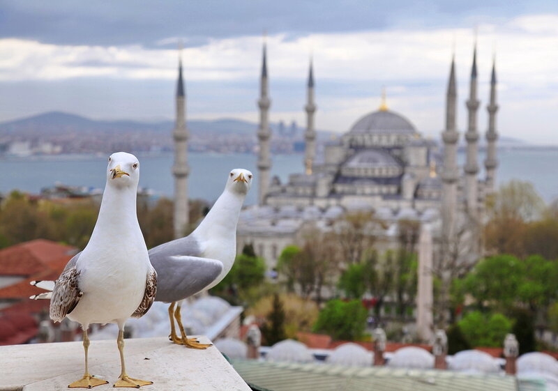 Руслан СЕГЕНЮК: «В эти дни Стамбул принадлежит чайкам, котам и немногим туристам!» - Республиканский союз туристических организаций
