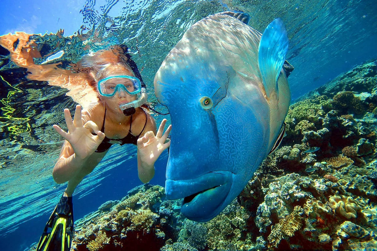 Vadym Kurgak в Instagram: "@ksuxa muxa like a fish)" Underwater, Snorkeling, Bes