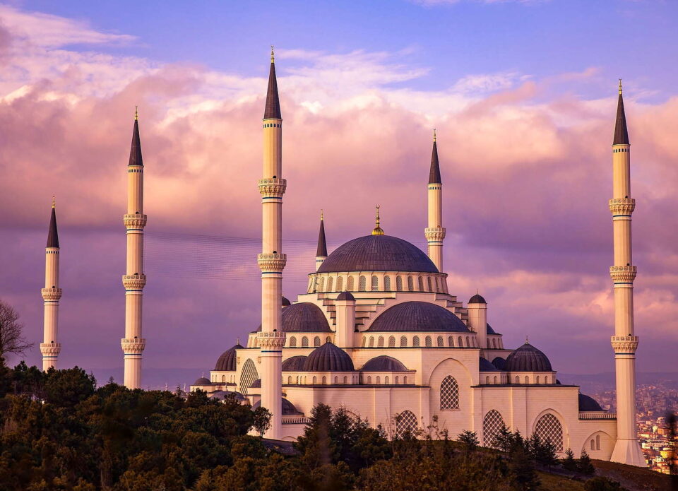 Минздрав Турции разрешил прививать от коронавируса иностранных туристов