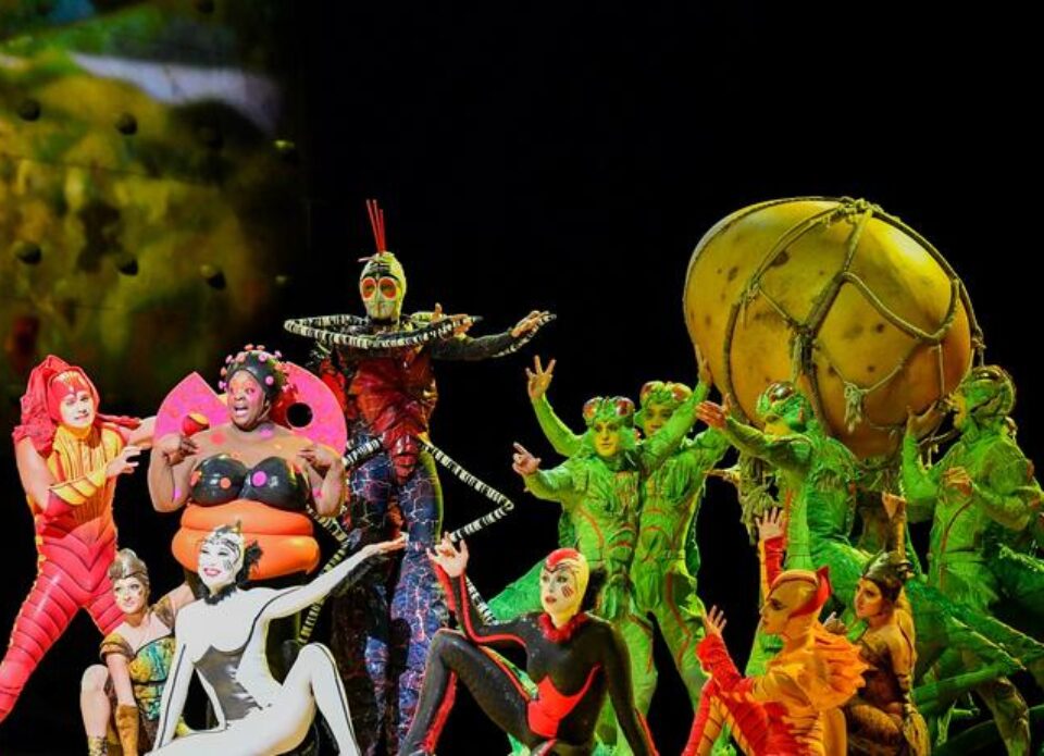 «Тайм Вояж» приглашает на шоу Cirque De Soleil в ОАЭ