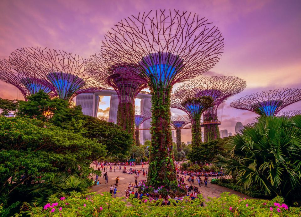 Сингапур отменяет все ковидные ограничения на въезд