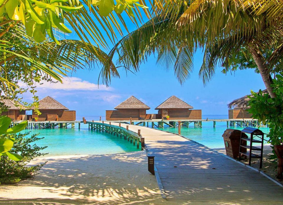 Топ-3 стран, лидирующих по прибытиям на Мальдивы в январе 2023 года