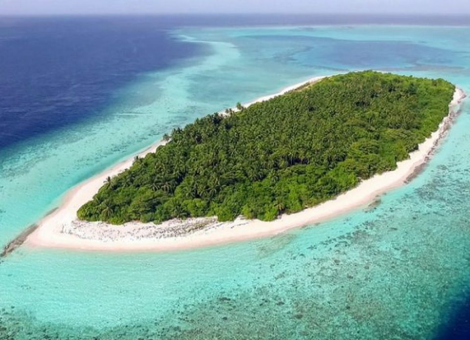 Приглашаем на вебинар, посвященный новому отелю Avani+ Fares Maldives 5*