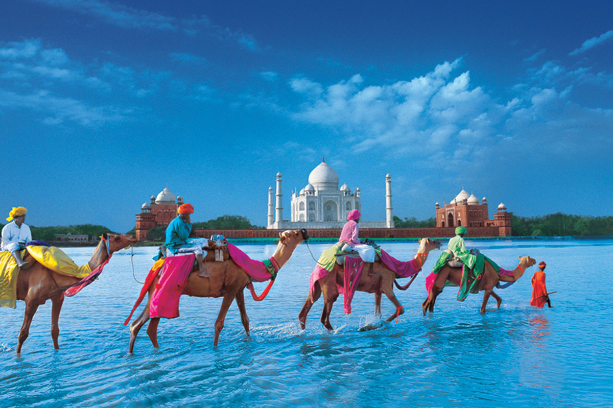 Royal Voyage Travel Experience