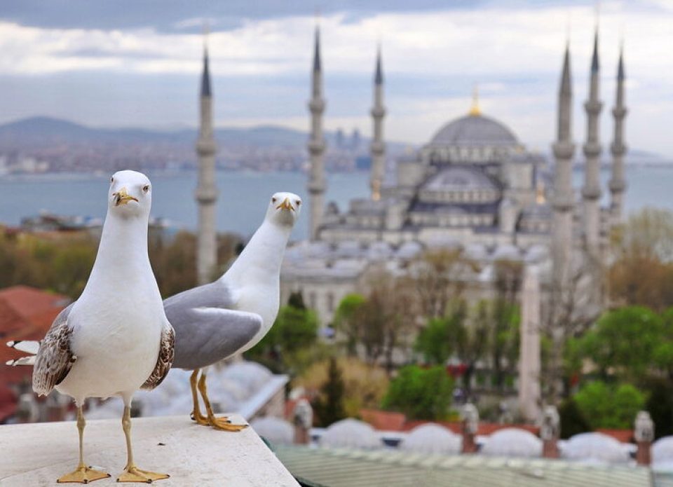 «АэроБелСервис» приглашает в инфотур в Стамбул: мини-группа, 10 человек