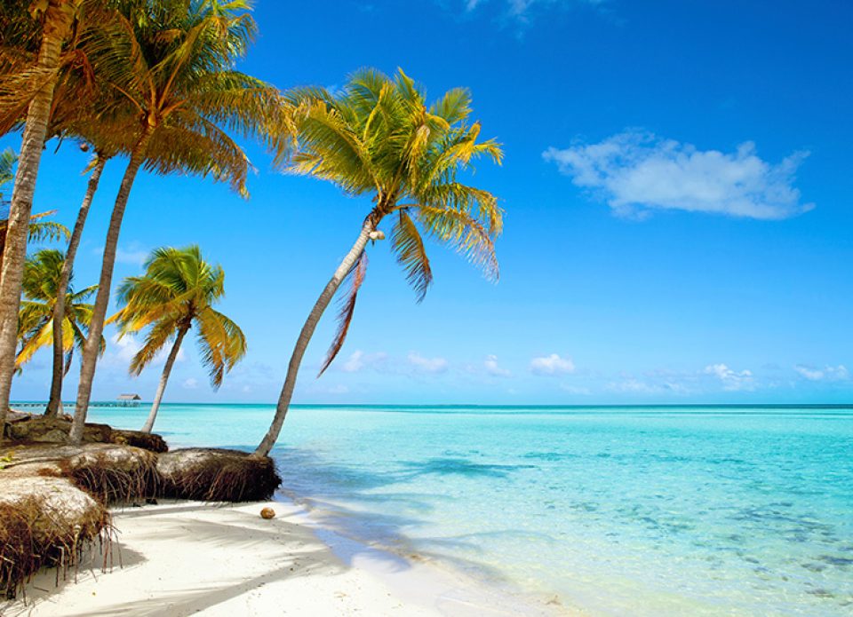 Новые курорты и отели: Blue Diamond Resorts (Куба) значительно расширяется в 2024 году