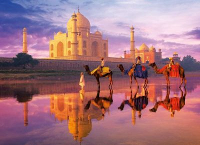 Рекламный тур в Индию: никаких осмотров отелей, только погружение в неповторимый мир!