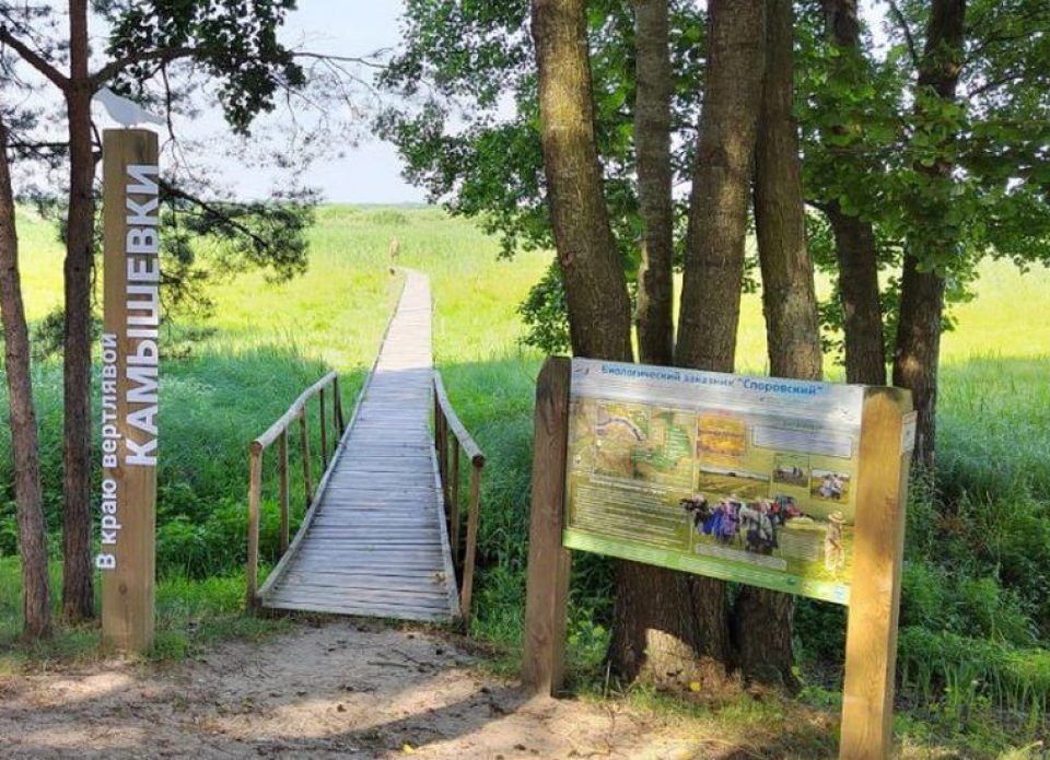 Экскурсия «звезда недели» — «В краю вертлявой камышовки»