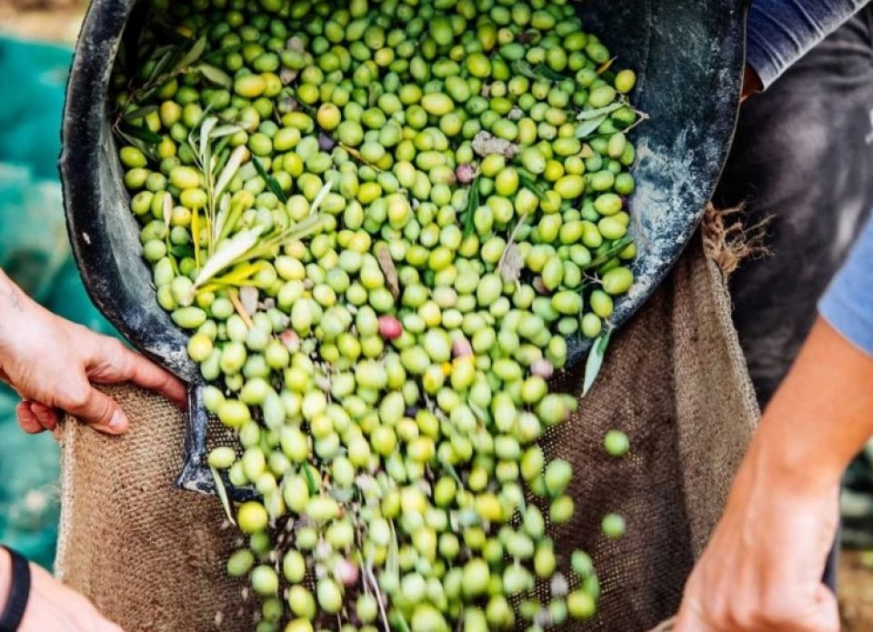 Известный кипрский отель предлагает поучаствовать в необычном мероприятии