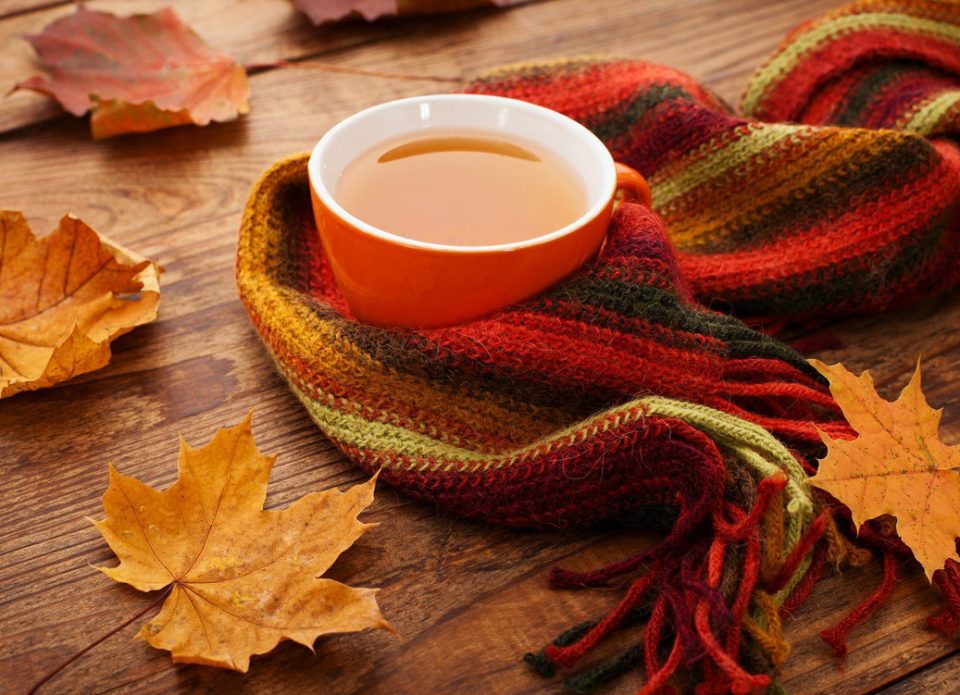 «РОСТИНГ» запускает акцию для турагентов – «Согревающие бонусы»