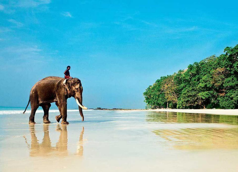Сколько стоит отдых в Гоа из Минска с прямым перелетом а\к «Белавиа» в Дели?