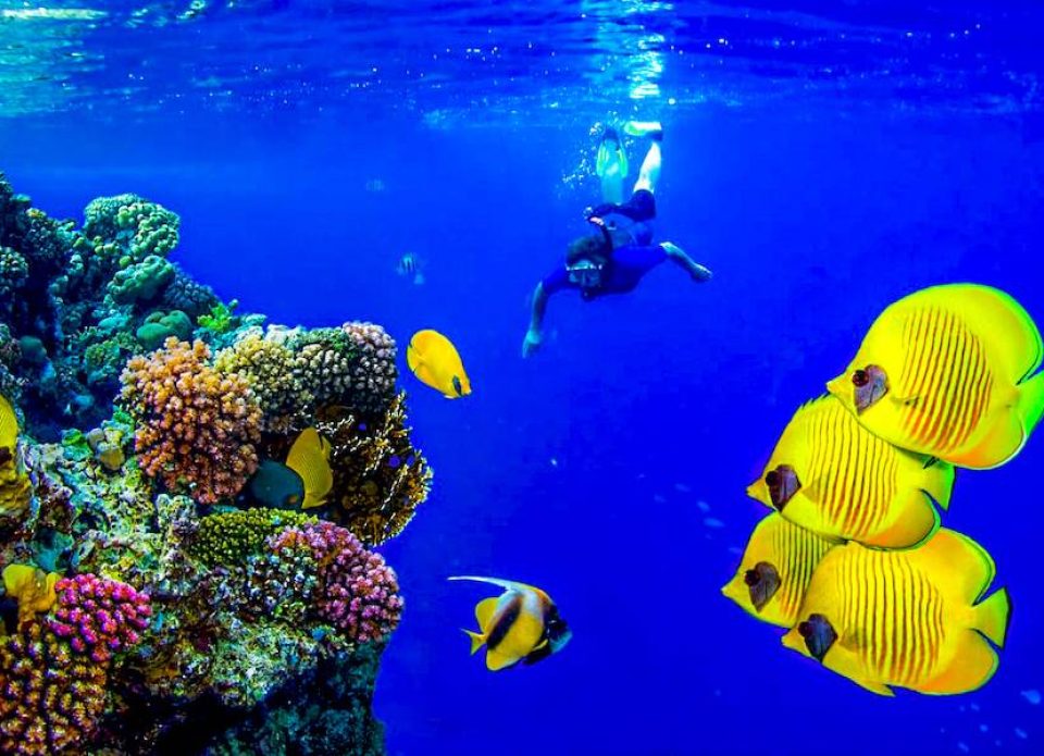 Открыто раннее бронирование туров в Египет на весну-лето 2026 года