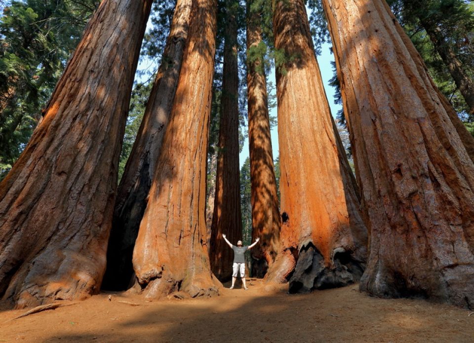 Зарубежные туристы заплатят за посещение Национальных парков США на 100 долларов больше