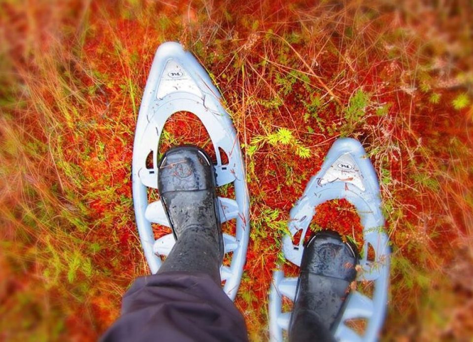 Беларусь вошла в топ-3 рейтинга устойчивости развития туризма в странах СНГ