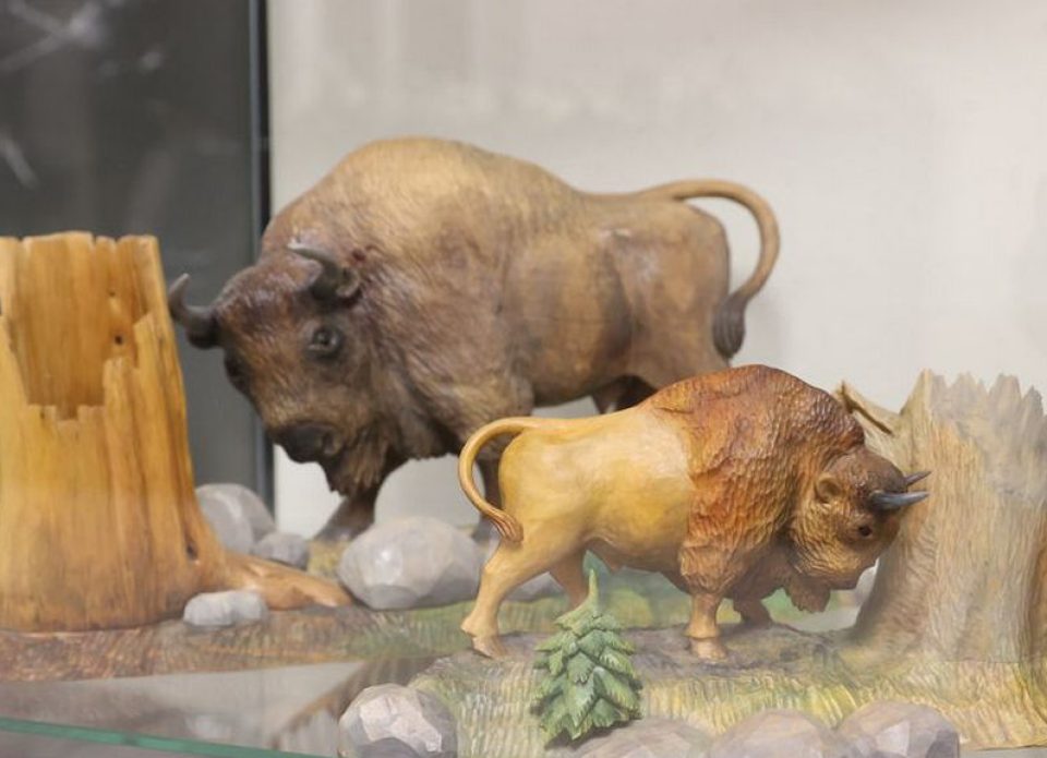 В Бресте открылся Музей зубра