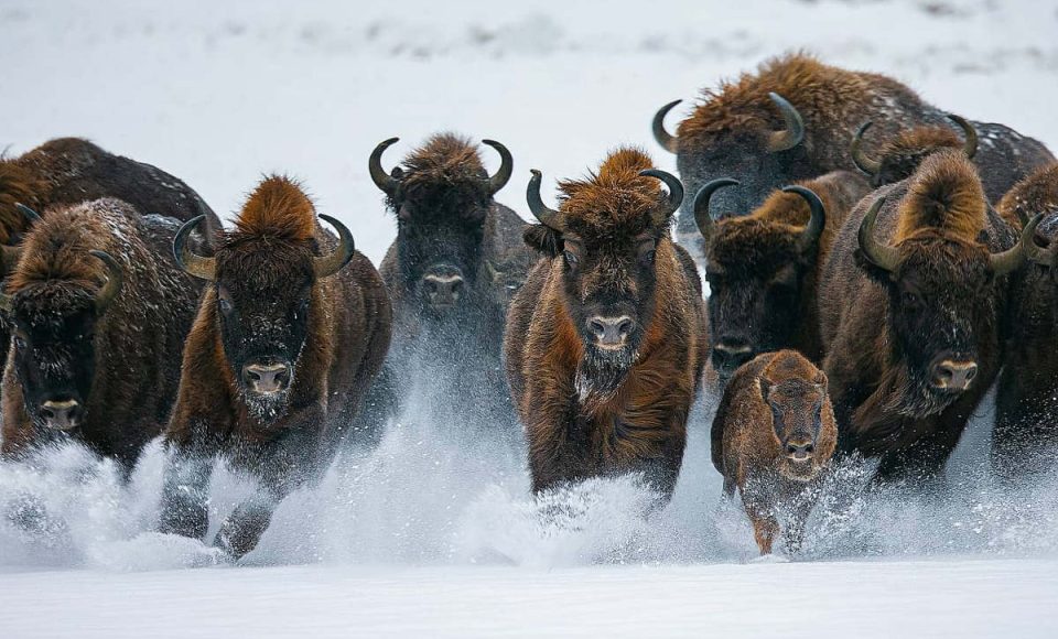 Формирование сильного национального туристического бренда и другие пункты Госпрограммы «Туризм» на  2026–2030 годы