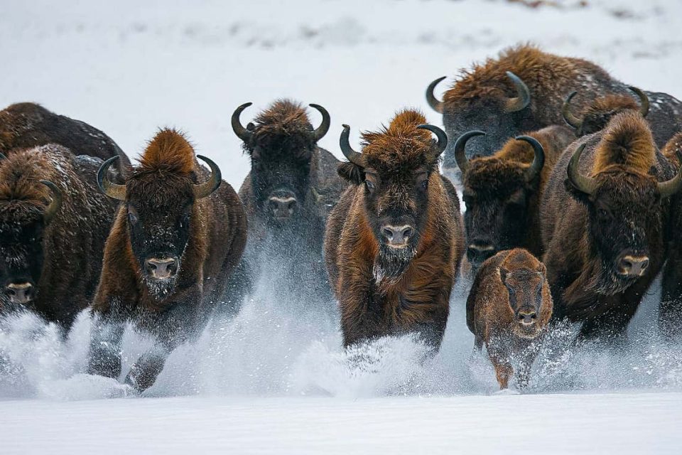 Формирование сильного национального туристического бренда и другие пункты Госпрограммы «Туризм» на  2026–2030 годы