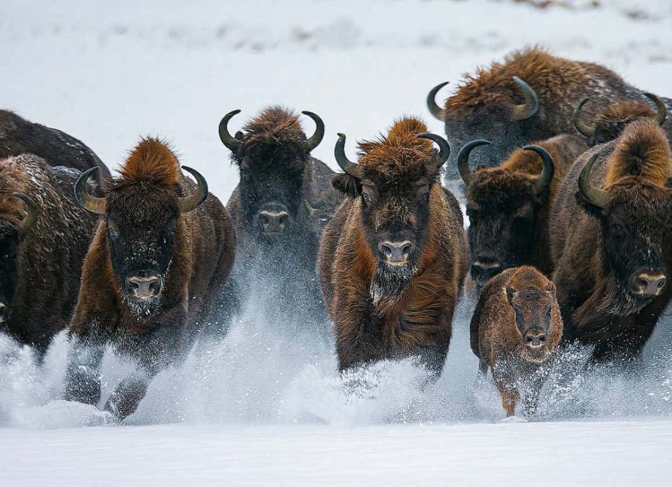 Формирование сильного национального туристического бренда и другие пункты Госпрограммы «Туризм» на  2026–2030 годы