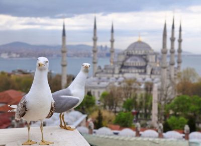 TÜRSAB требует заблокировать сайты онлайн-бронирования отелей, включая Airbnb и Expedia