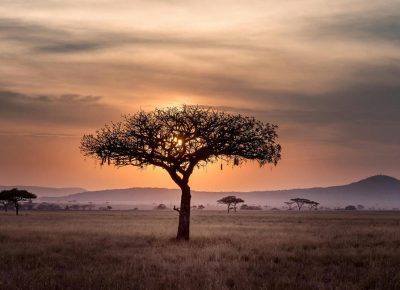 Танзания представила амбициозный проект развития туризма «Vision 2050»