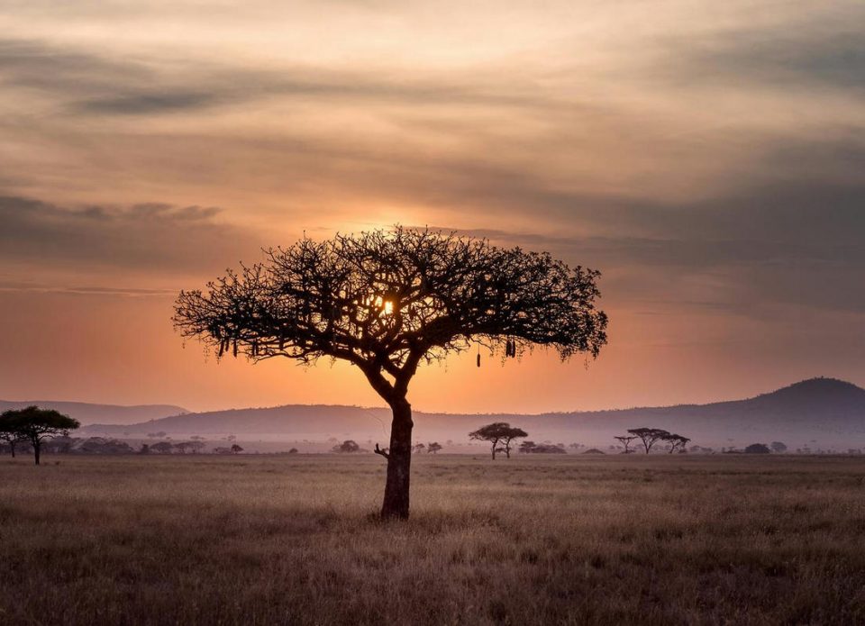 Танзания представила амбициозный проект развития туризма «Vision 2050»