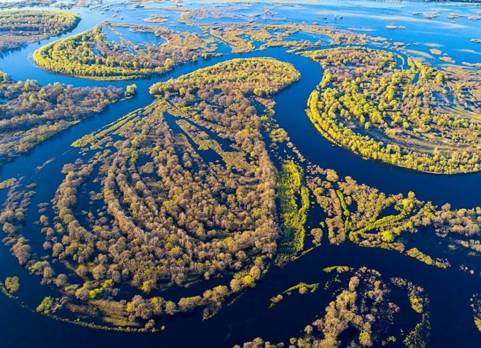В Национальном парке «Припятский» стартовал сезон экскурсий по «морю Геродота»
