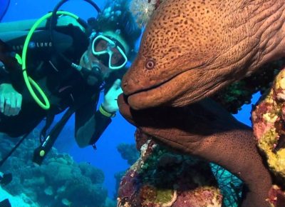 ETOA: Туристы меняют направление отдыха – с Ближнего Востока на Египет