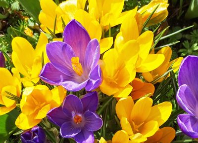 Весенняя трансформация с «РОСТИНГ»!