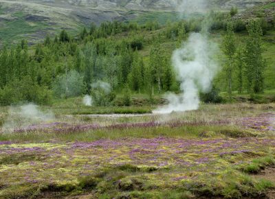 Авиакомпания Icelandair предлагает 43 тыс. евро за «самые непрофессиональные» фото Исландии