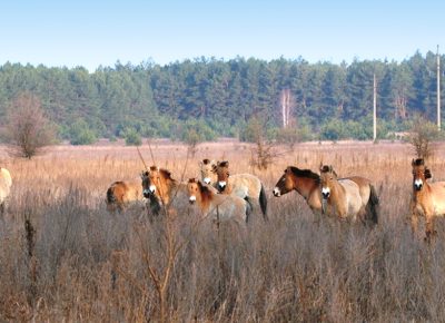 Национальное агентство по туризму приглашает на выездной семинар по Гомельской области